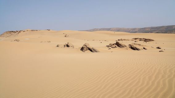 Buggy Ride Adventure with Moroccan Tea Tasting from Agadir