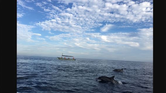 Indonesia + Komodo bot laju lawatan sehari 6 Tarikan @