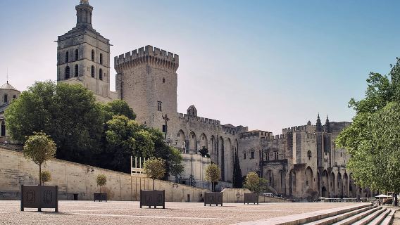 Avignon + Papal Palace + Saint-Remy-de-Provence + Pont du Gard one-day tour in France