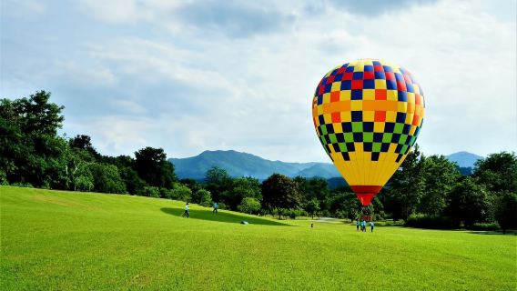 中科院西雙版納熱帶植物園一日遊【5小時深度導覽+純玩團】