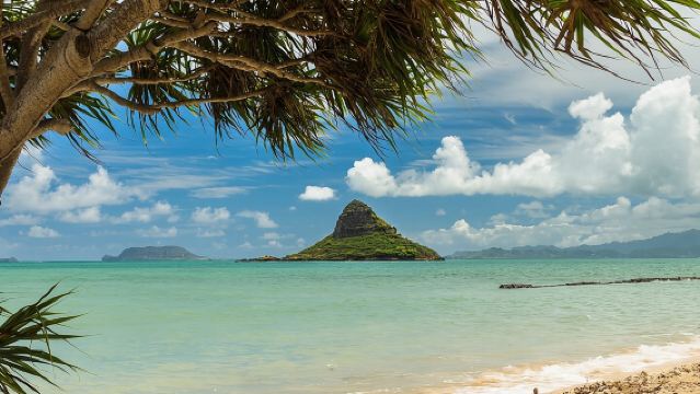 Oahu al descubierto: Tour privado de lujo a medida