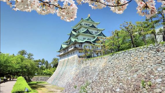 日本名古屋市科學館-大須觀音-名城公園【中文專車-舒適純淨】