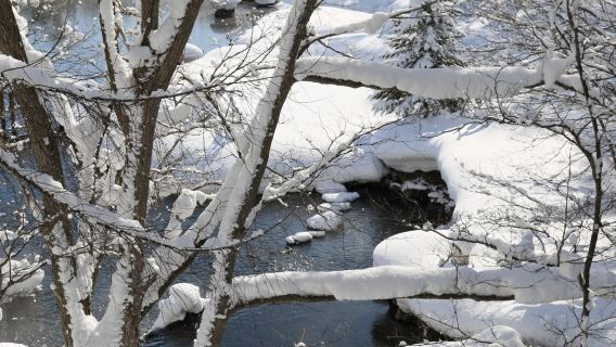 日本北海道羊蹄山-留壽都滑雪-洞爺湖遊覽船【北海道中文專車】