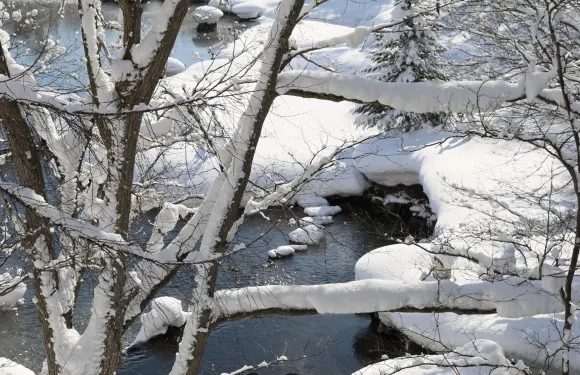 日本北海道羊蹄山-留壽都滑雪-洞爺湖遊覽船【北海道中文專車】