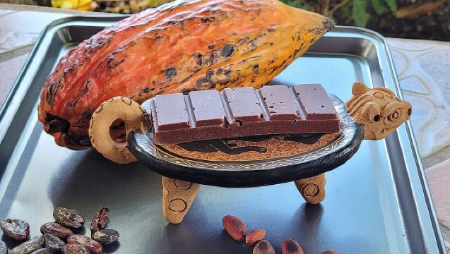 Tour de Café y Chocolate de 2 Horas en Playas del Coco