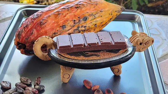 Passeio de Café e Chocolate de 2 Horas em Playas del Coco