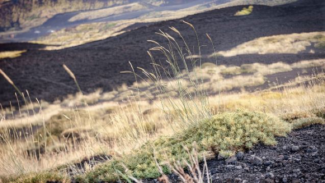 Cefalù: Mount Etna to 1900-Meters and Taormina Tour
