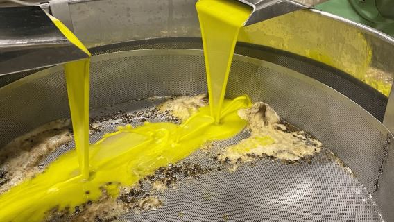 ทัวร์โรงสีมะกอกแบบยั่งยืนพร้อมชิมน้ำมันมะกอกในเคียติ