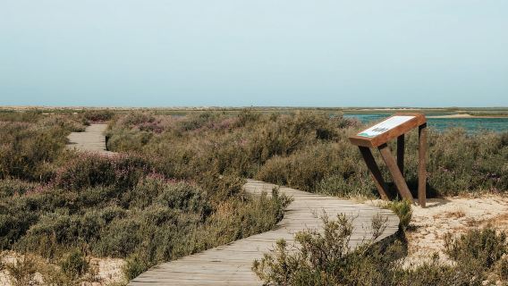 From Faro: Catamaran Boat Trip to Deserta Island with Stop