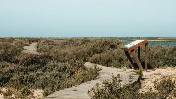 Ab Faro: Katamaranfahrt zur Ilha Deserta mit Zwischenstopp