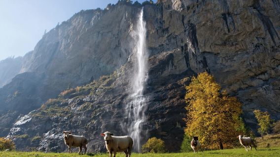 Zúrich: excursión de un día a Grindelwald, Interlaken y Lauterbrunnen