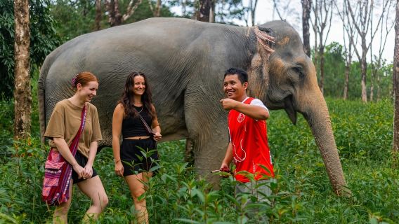 Phuket: Elephant Sanctuary Tour, Cooking Class & Lunch