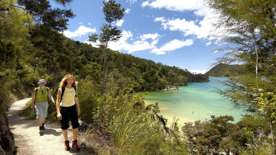 Abel Tasman National Park: Sailing and Self-Guided Walk