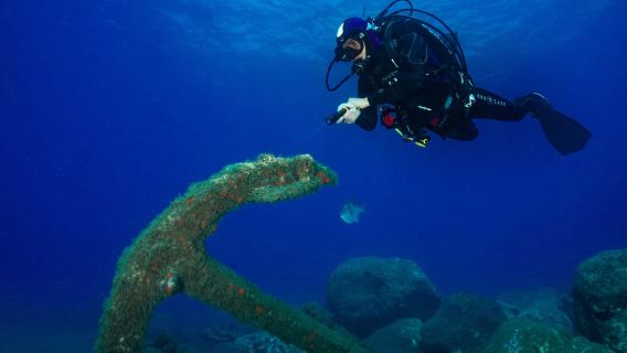 Funchal: immersioni subacquee certificate, tour guidato