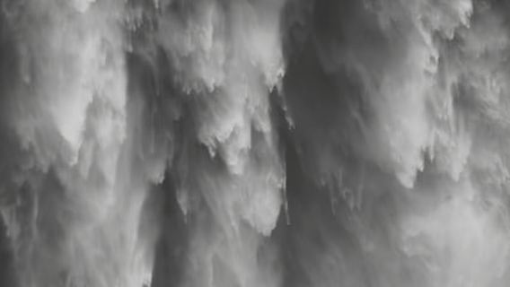 Snoqualmie, Twin Falls und Ancient Forest (Transport inbegriffen)