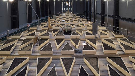 Visita guiada semiprivada al Museo Tate Modern de Londres (máximo 8 personas)