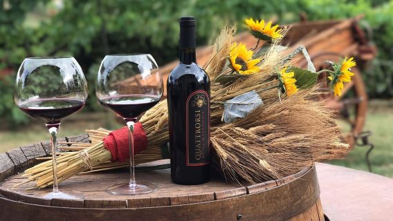 San Gimignano: degustazione di vino, olio d'oliva e aceto balsamico