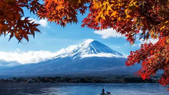 Japan Bus Ticket Tokyo to Mt. Fuji Station Kawaguchiko Fujikyu Round Trip Bus Ticket