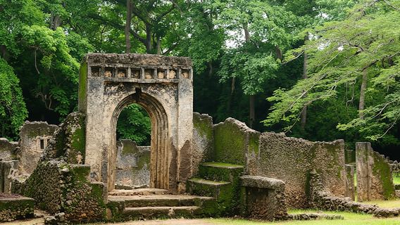 Arabuko Sokoke Forest and Gedi Ruins Day Tour from Mombasa North Coast