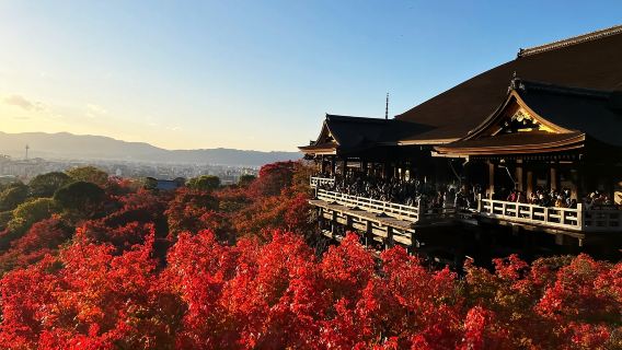 One-Day Trip from Osaka/Kyoto: Kiyomizu-dera Temple + Ninenzaka & Sannenzaka + Nara Park + Fushimi Inari Taisha