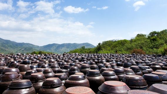 Gumi, Gyeongbuk Lawatan Sejarah & Budaya Industri Sehari