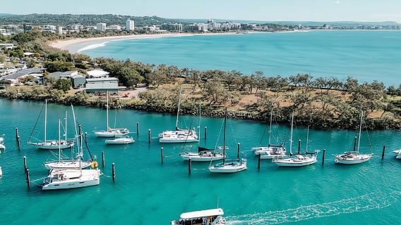 Mooloolaba : Excursion en rafting à la découverte des tortues