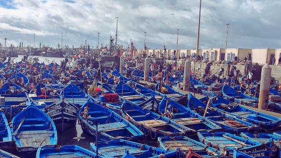 Essaouira Day Trip from Marrakech