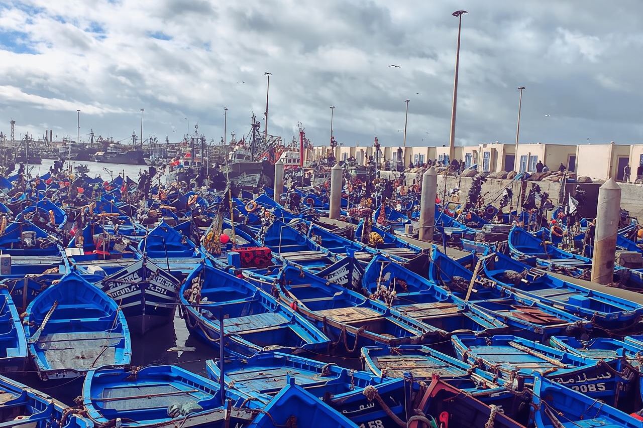 Gita di un giorno a Essaouira da Marrakech