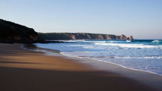 Phillip Island: Hike and Penguin Parade - 8 pax Small Tour
