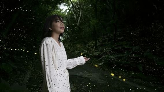 Ishigaki Island: Yaeyamahime Firefly Viewing Tour