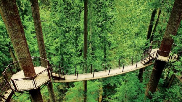 加拿大溫哥華一日遊-行程可調【中文包車自由行】