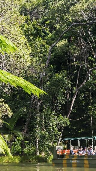 Australia Kuranda + Cable Car + Train + Rainforest Park Tour [Including Hotel Transfer]