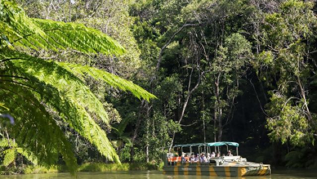 Australia Kuranda + Cable Car + Train + Rainforest Park Tour [Including Hotel Transfer]
