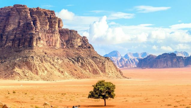 Wadi Rum Jeep Tour with Drop off in Amman or Wadi Rum