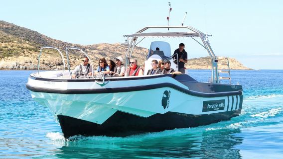 Dari Calvi: Pelayaran Sunset 2 Jam ke Semenanjung Revellata