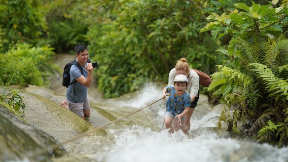 Bua Tong Sticky Waterfall, Huge Cave & BanDen Temple- Thai Buffet
