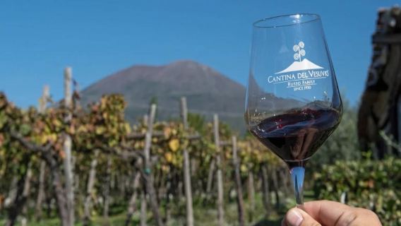 Discover Pompeii and Wine Tasting - Private Tour