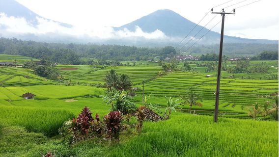 バリ島 日本語ドライバーによるプライベートカーチャーター