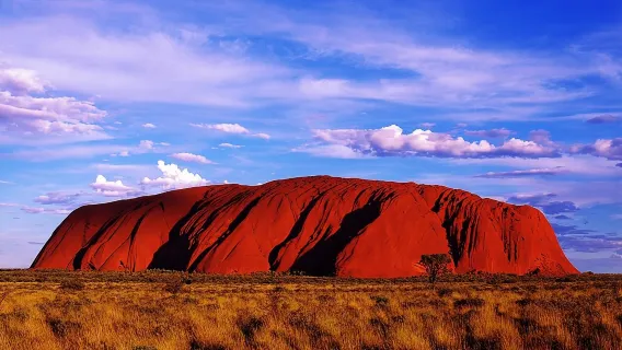 Uluru Experience with BBQ Dinner
