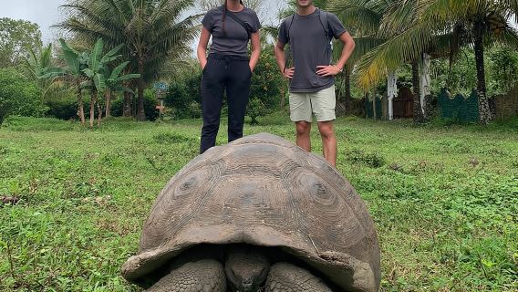 Cuộc phiêu lưu cùng Rùa, Đường hầm dung nham và Miệng núi lửa Los Gemelos