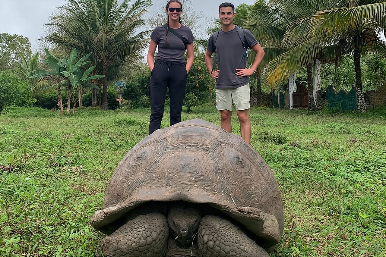 Adventure with Turtles, Lava Tunnels and Los Gemelos Craters
