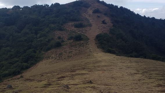 Private Half Day Hike to Ngong Hills from Nairobi