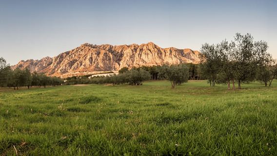 Small group cava and wine tasting day trip from Barcelona