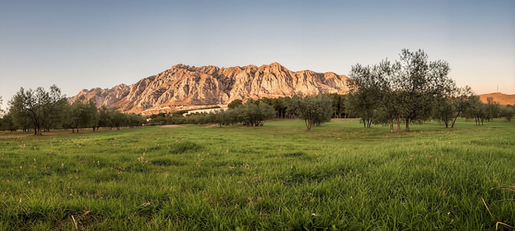 Small group cava and wine tasting day trip from Barcelona