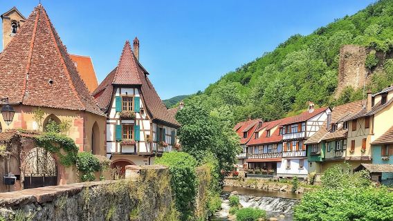 Pearls of vineyard full-day trip from Strasbourg
