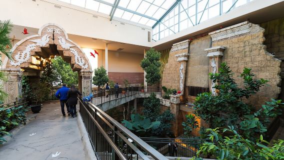 Bird Kingdom admission tickets