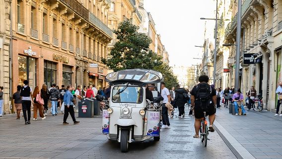 Tour por Toulouse en Tuk Tuk eléctrico