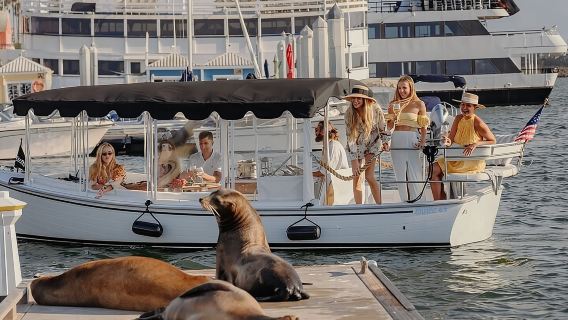 Crucero privado en lancha eléctrica: Vino, embutidos y avistamiento de leones marinos