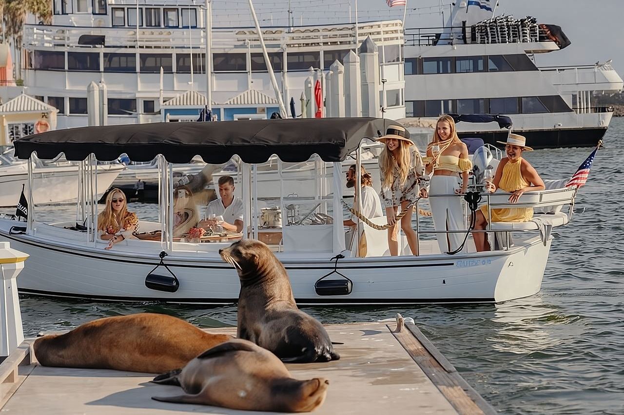 Private E-Boat Cruise: Wine, Charcuterie and Sea Lion Spotting
