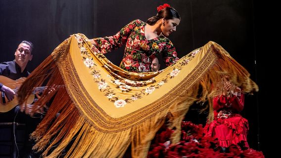 Auténtico espectáculo de flamenco en el Teatro Flamenco Sevilla